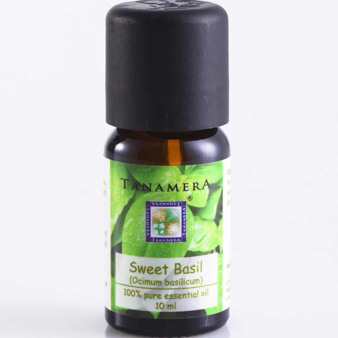 Essential Oil Sweet Basil Tanamera