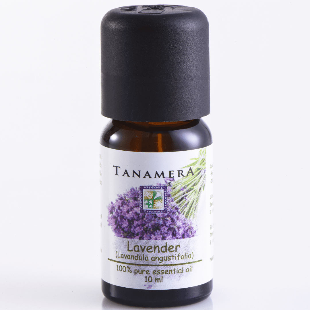 Essential Oil Lavender Tanamera